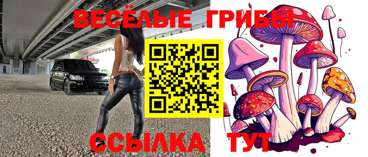 Псилоцибиновые грибы MAGIC MUSHROOMS Карталы