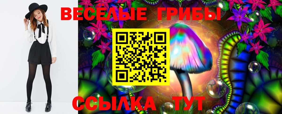 Псилоцибиновые грибы Psilocybe  Вход с VPN  Карталы  Галлюциногенные грибы Psilocybe 